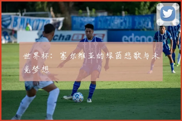 世界杯:塞尔维亚的绿茵悲歌与未竟梦想