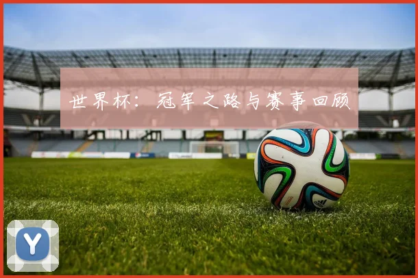 世界杯:冠军之路与赛事回顾