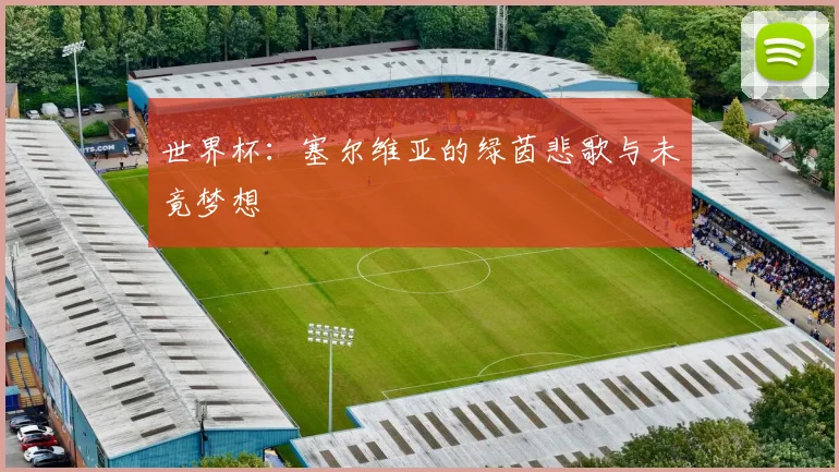 世界杯：塞尔维亚的绿茵悲歌与未竟梦想